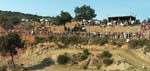 07_MX_03_Phot_-146