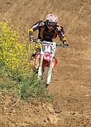 PICT5560