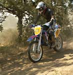 06_EndTT_07_Salle 175